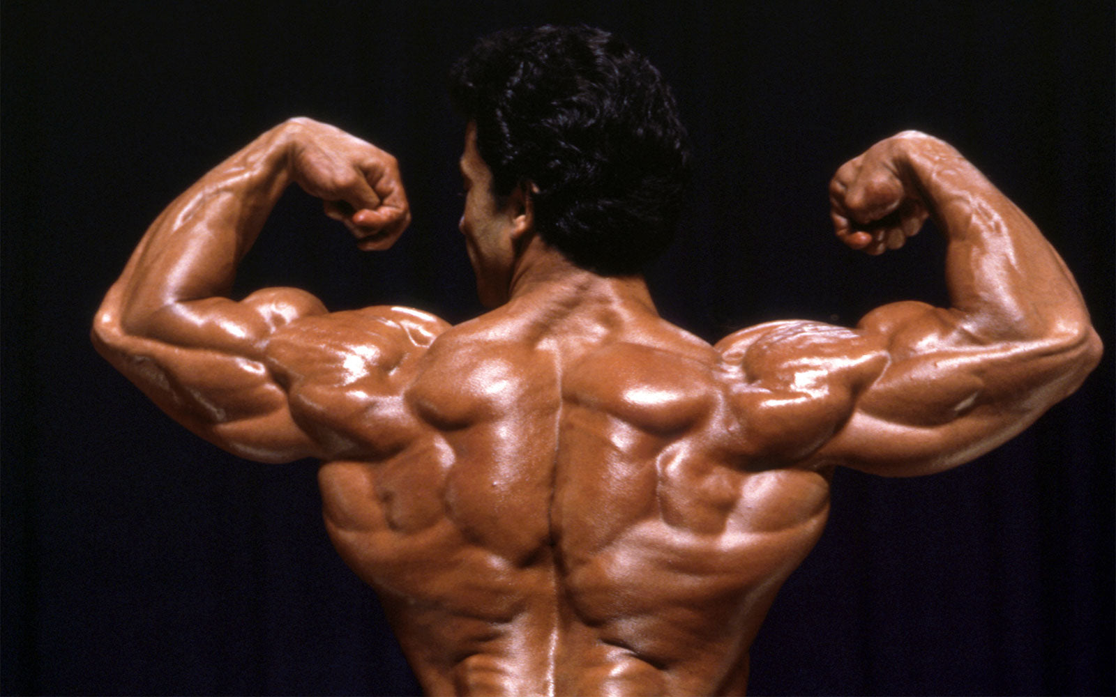 Samir Bannout Signature Series