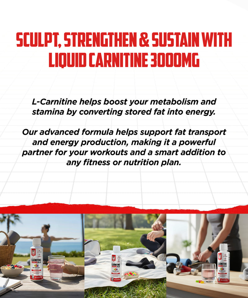 Liquid Carnitine 3000mg Plus Old School Labs Liquid Carnitine 3000mg Plus Old School Labs