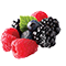 Fresh Berries