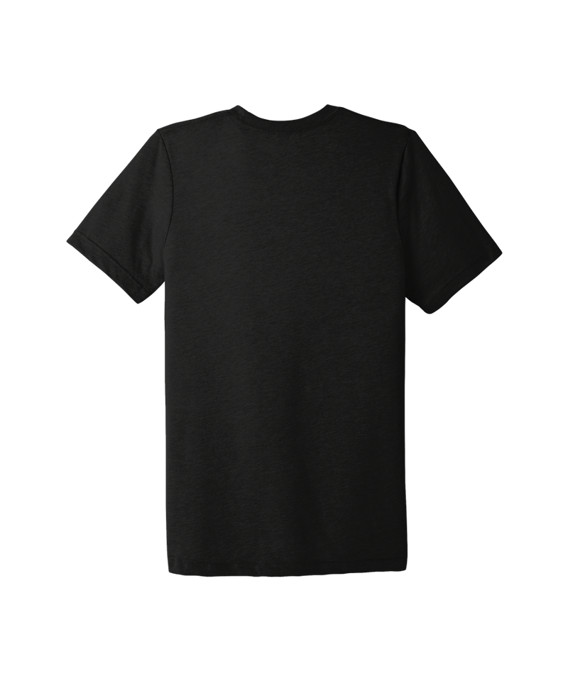 Vintage OSL Tri-Blend T-Shirt heather black back